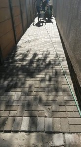 FB_IMG_1453752001858