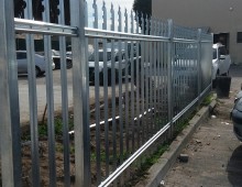 Palisade